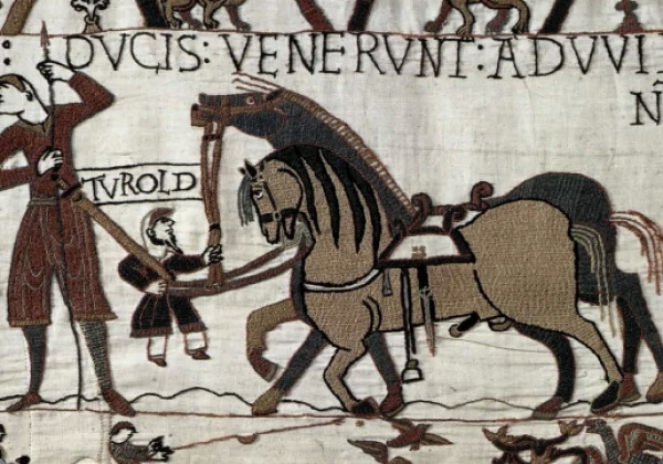Turold the irish jester depicted in the Bayeux Tapestry