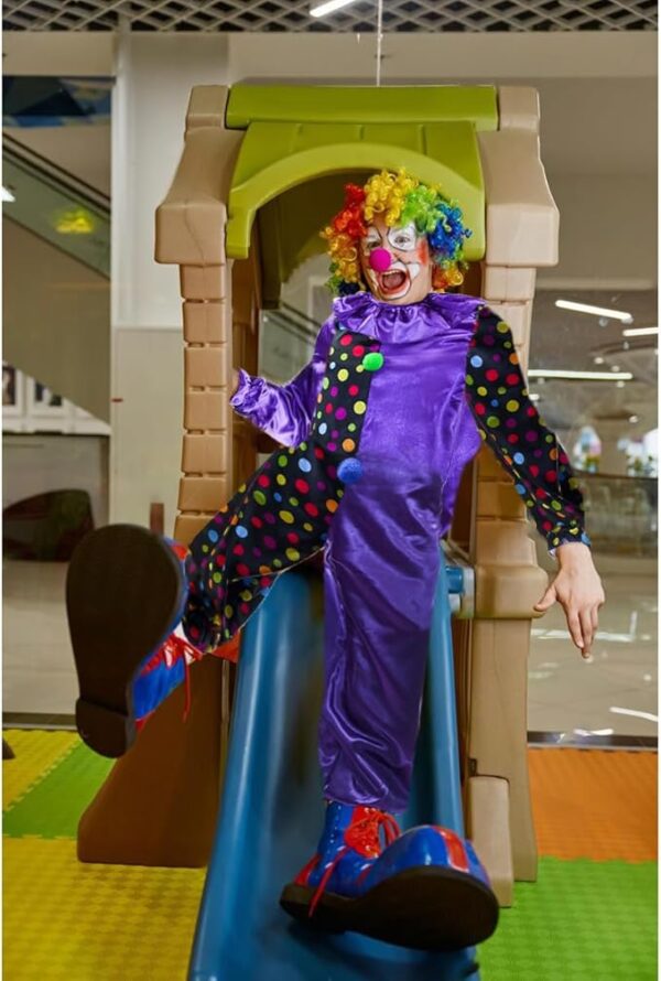 circus clown costume in slide