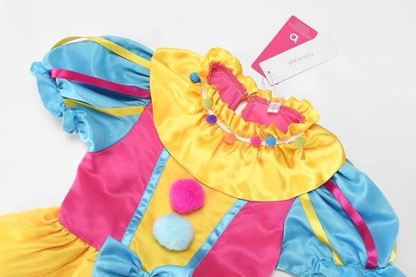 girl clown costume closeup